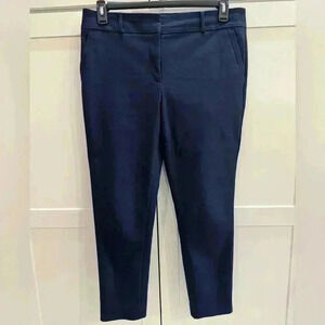 Ann Taylor Loft Petites Marisa Skinny Pants Navy Size 10P